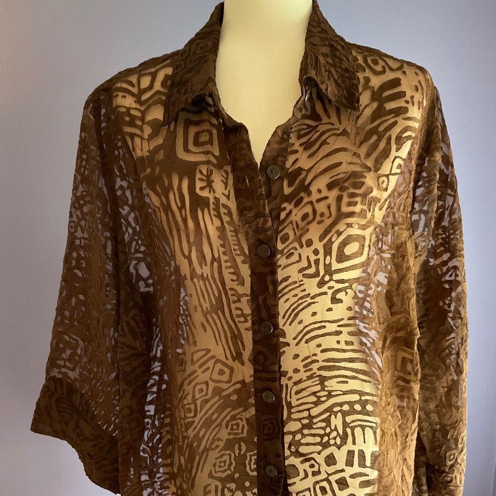 Sheer Brown Cutout Button Down Blouse 18W
